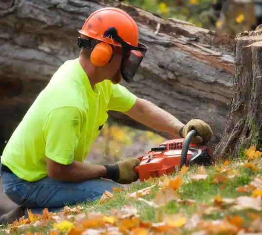 tree services Doolittle